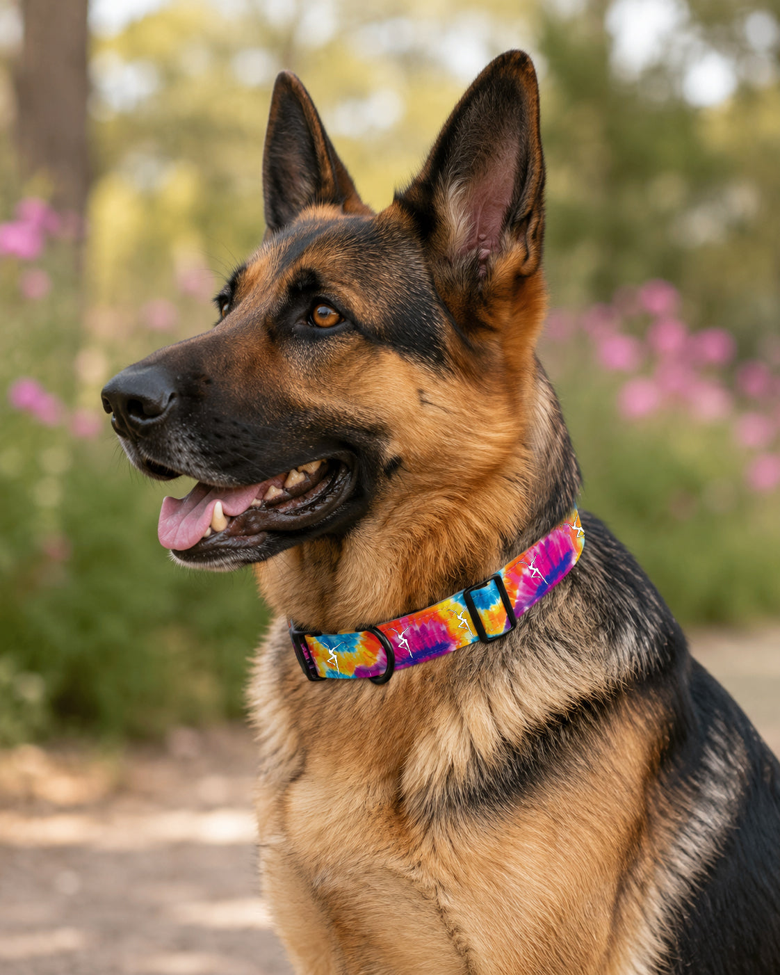 Tie-Dye Dog Collar Pre-Order