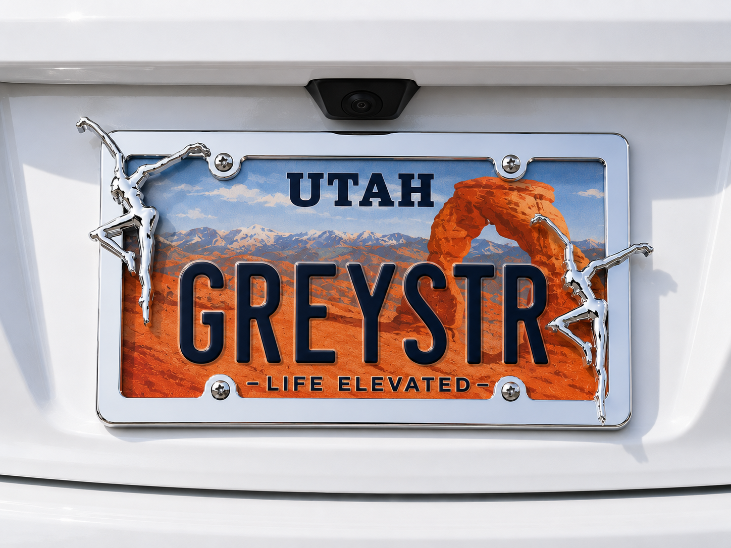 License Plate Frame Pre-Order
