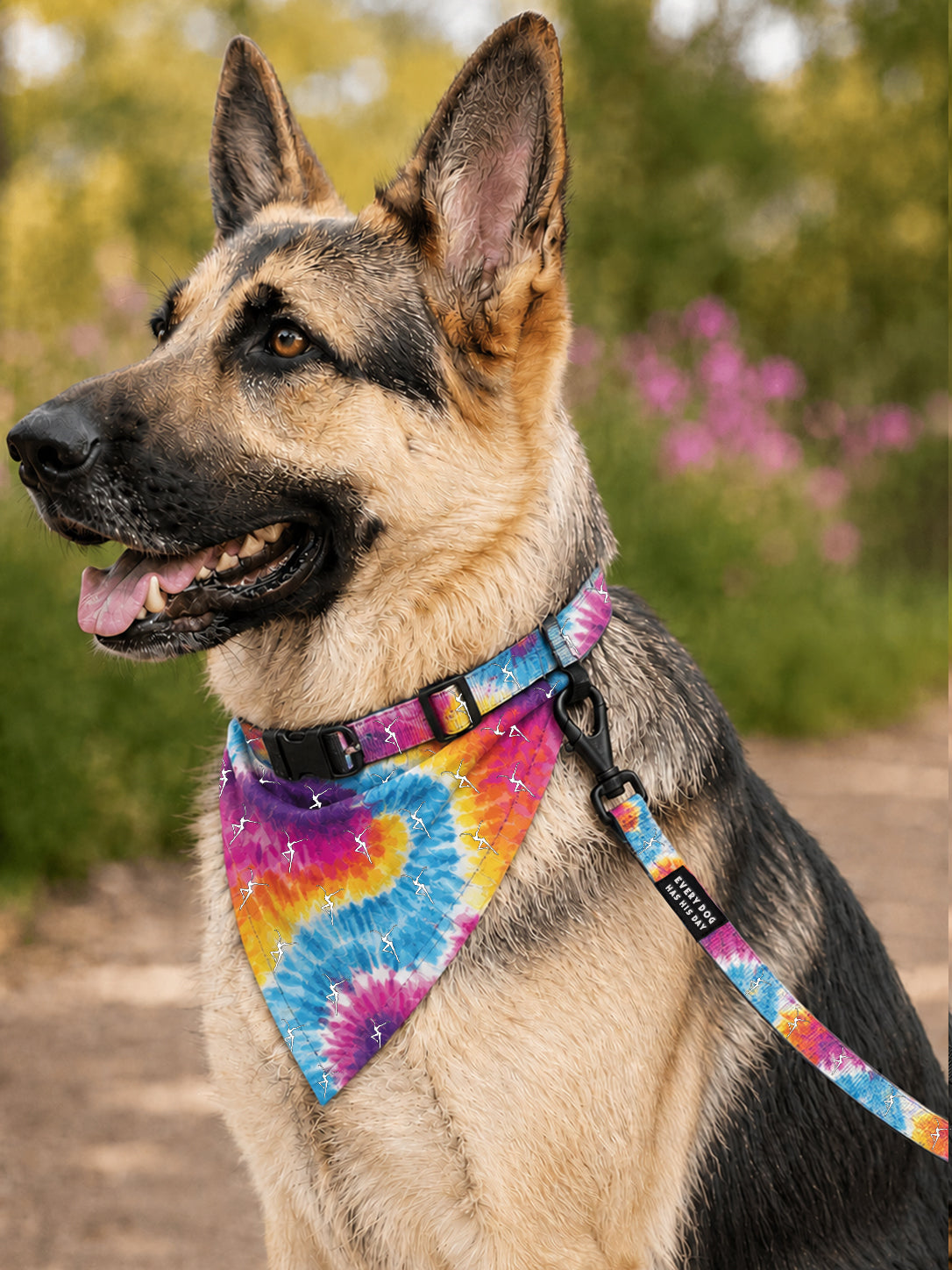 Dog Accessories