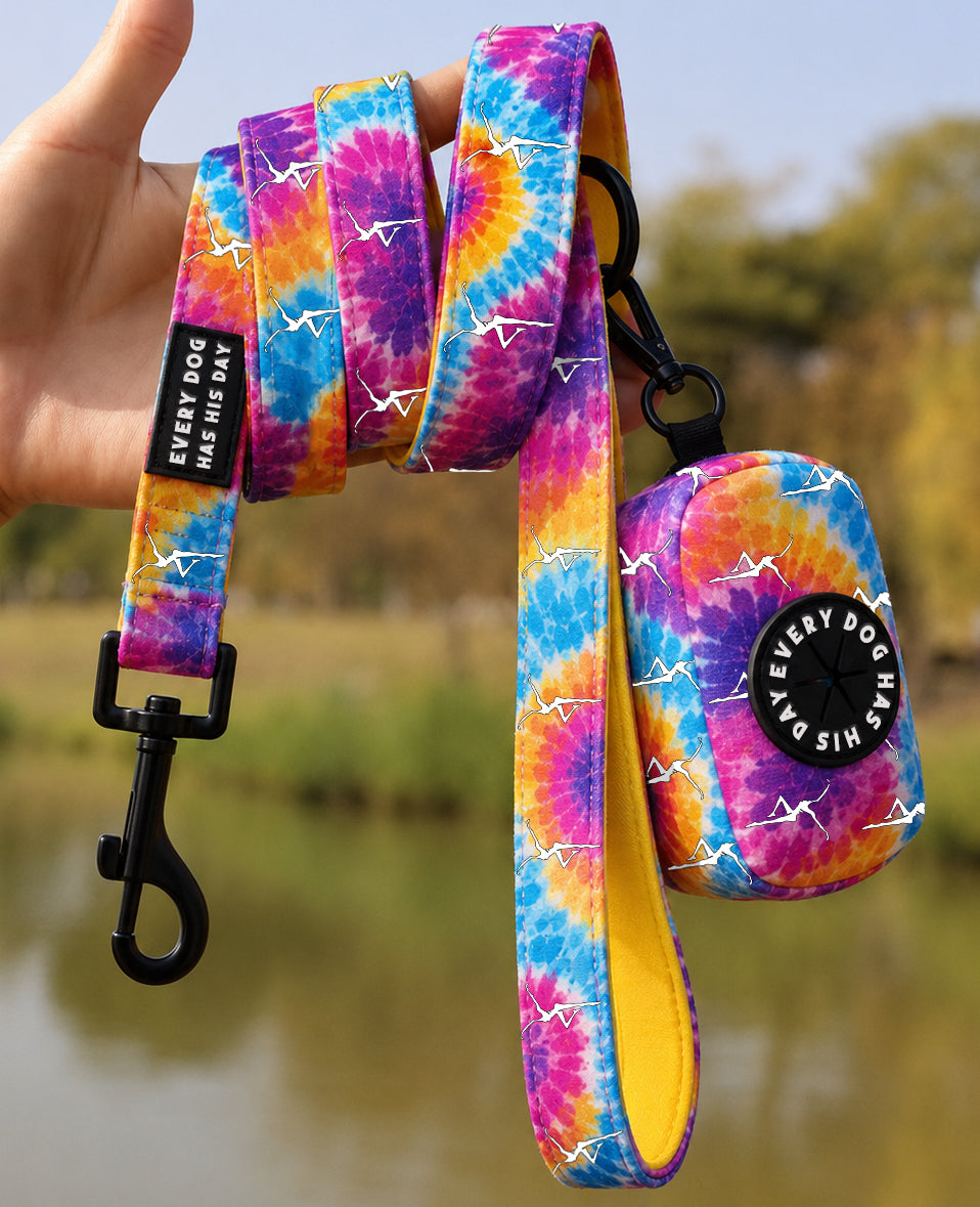 Tie-Dye Dog Leash Pre-Order