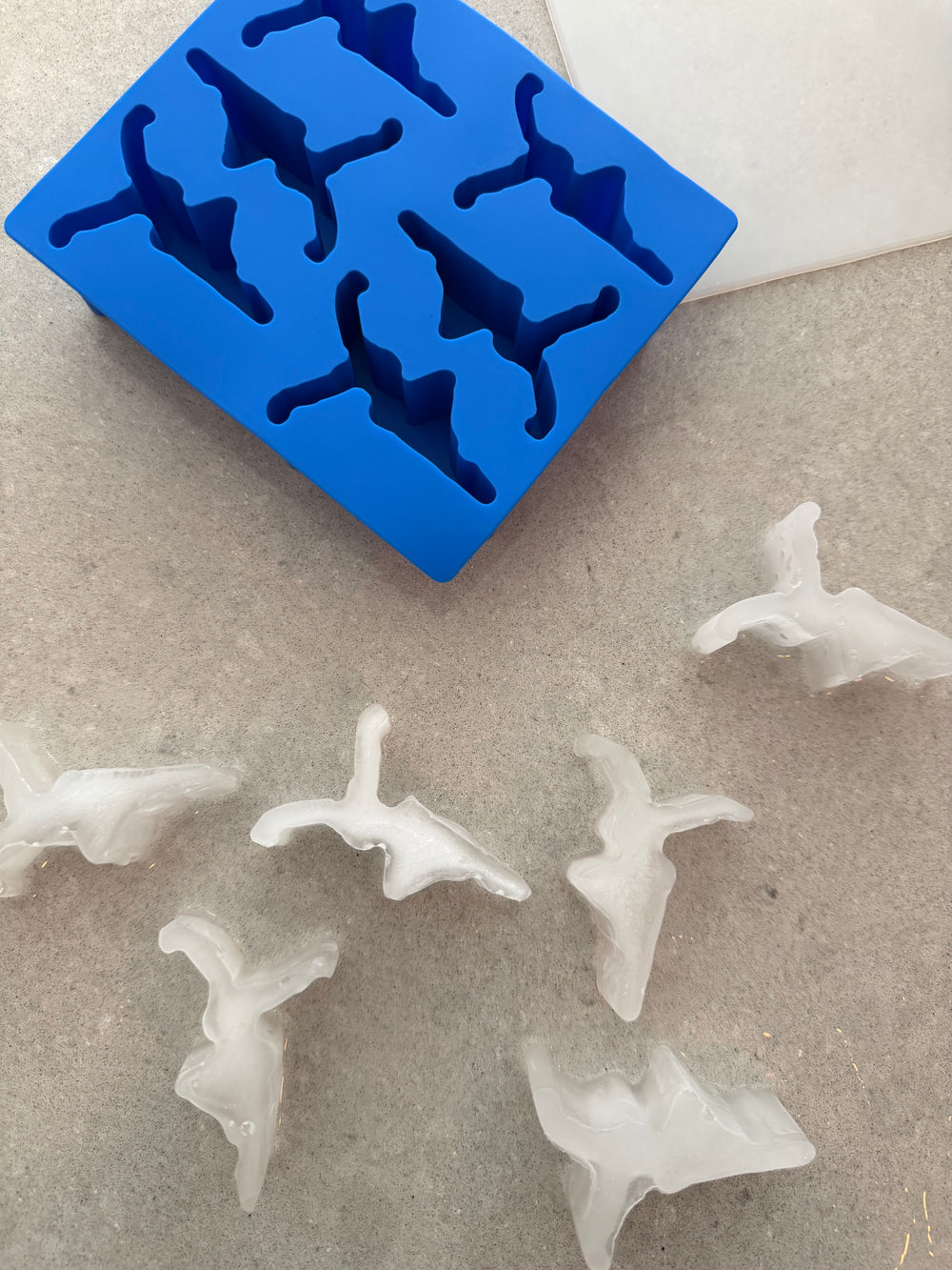 Silicone Mold