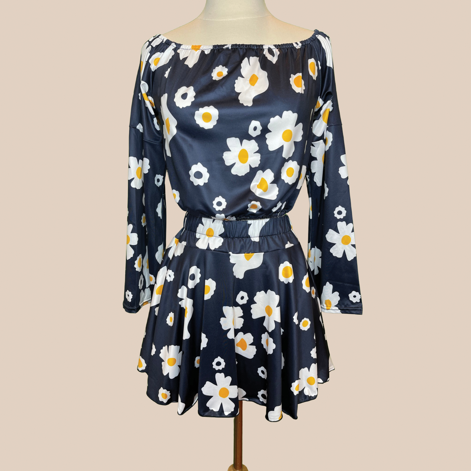 Skirt & Bardot Top Set