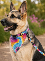 Tie-Dye Dog Bandana Pre-Order